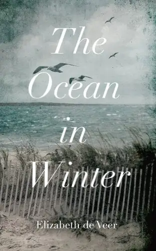 Ocean in Winter book cover