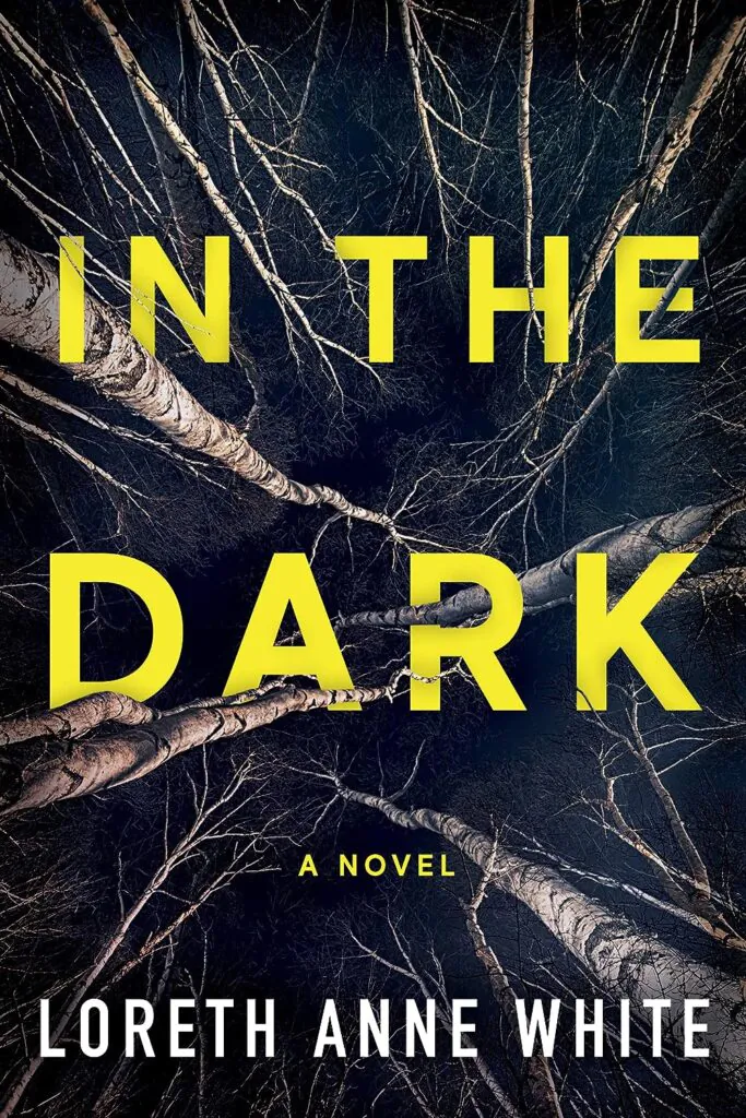 In the Dark book cover