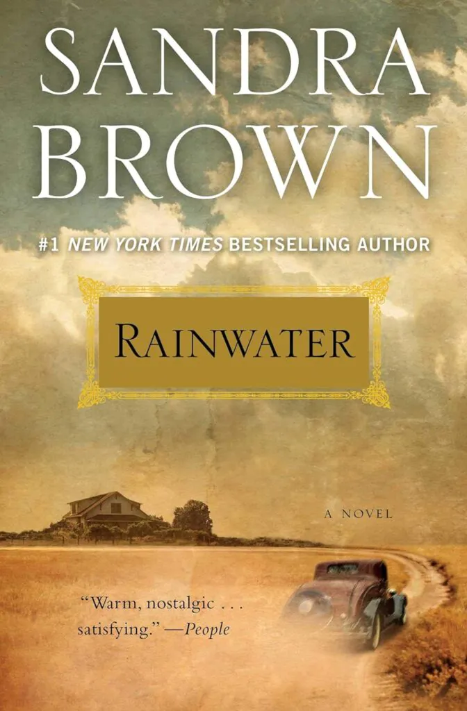 Rainwater book cover