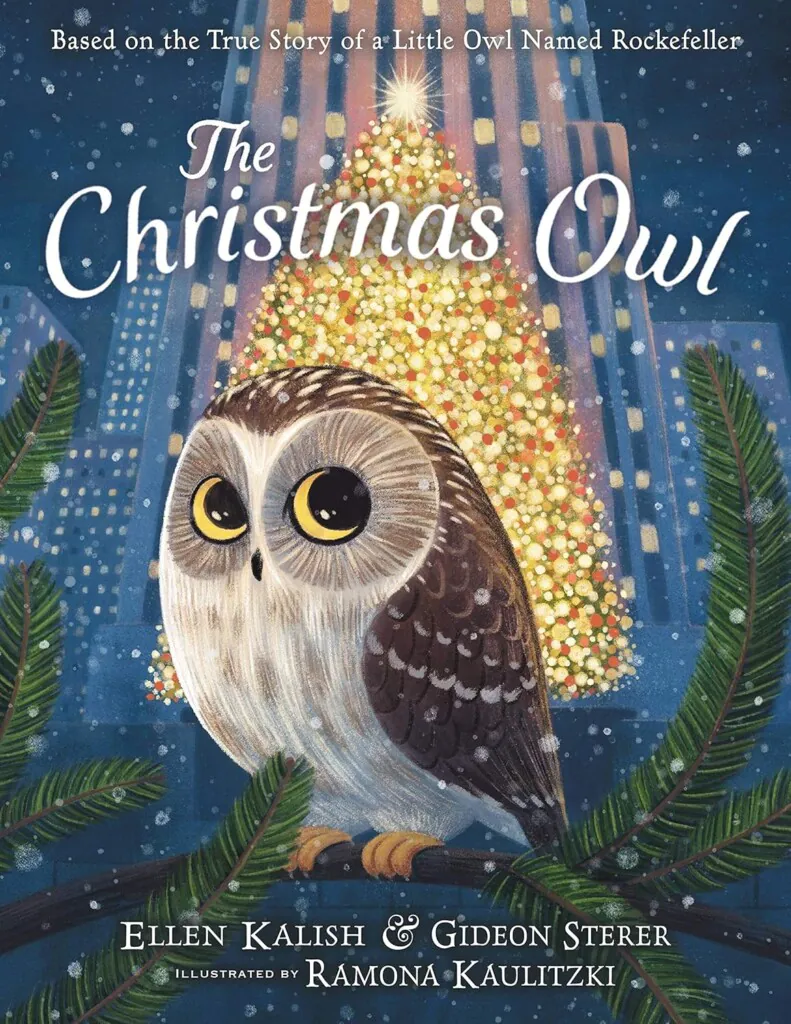 Christmas Owl book cover