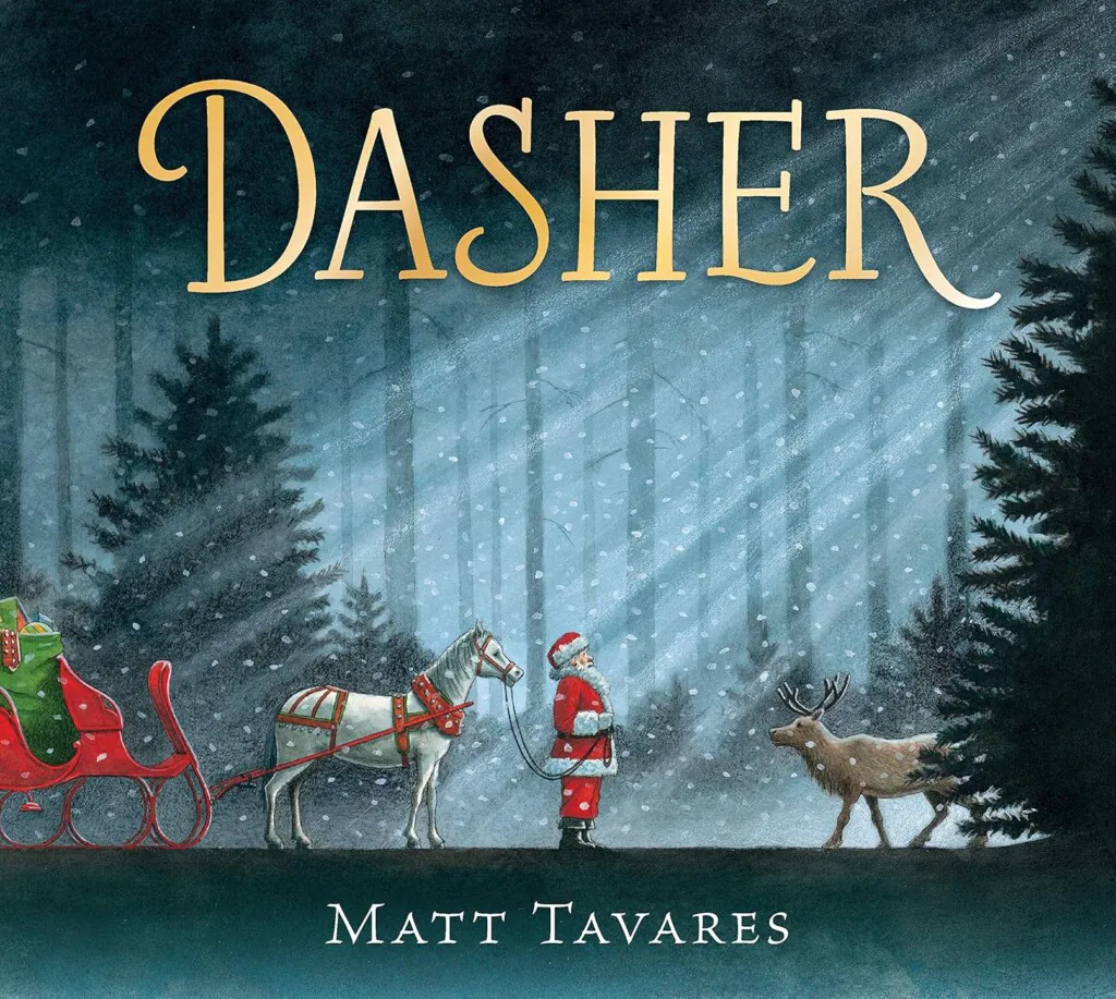 Dasher book cover