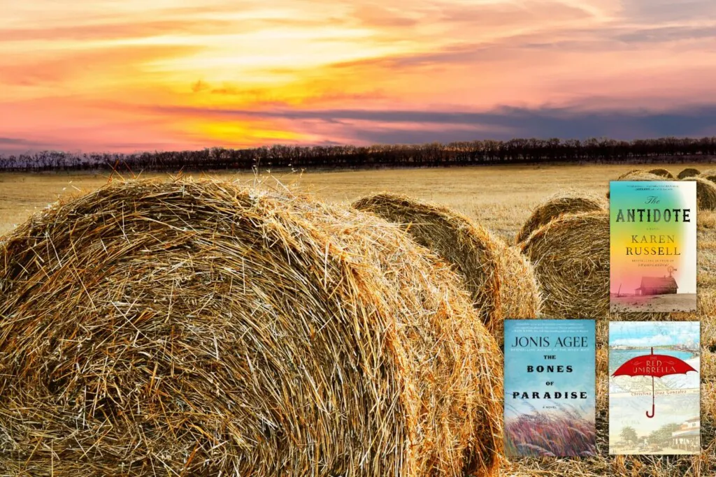 Bales of hay in field with sunset