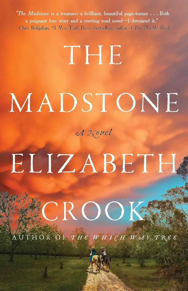 Madstone book cover