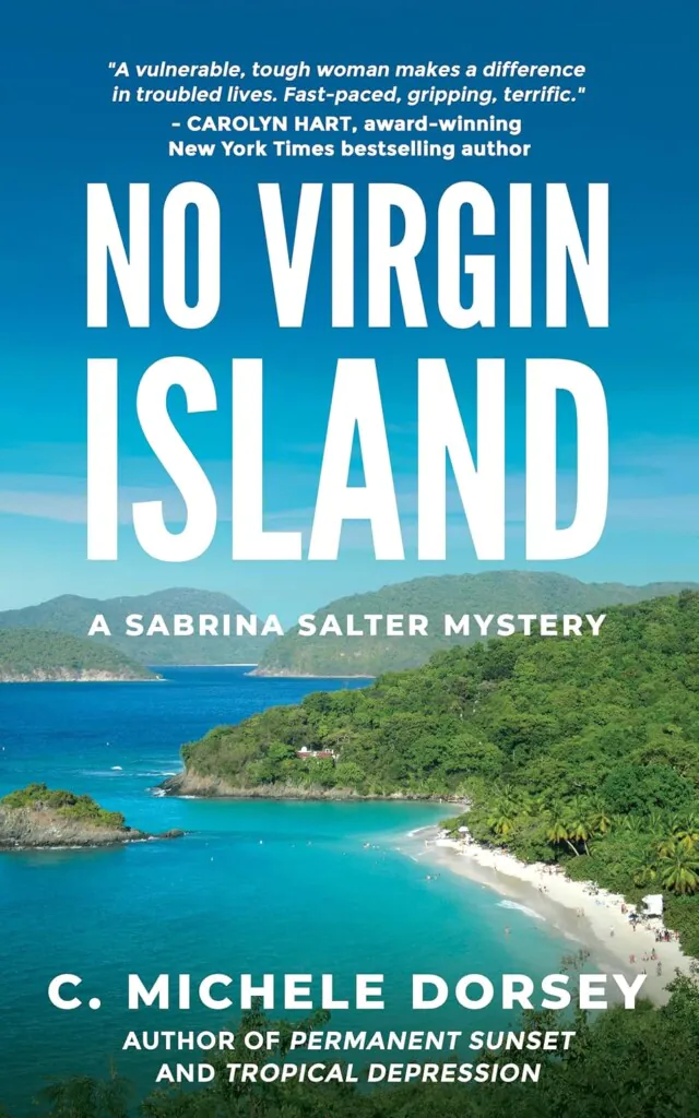 No Virgin Island book cover