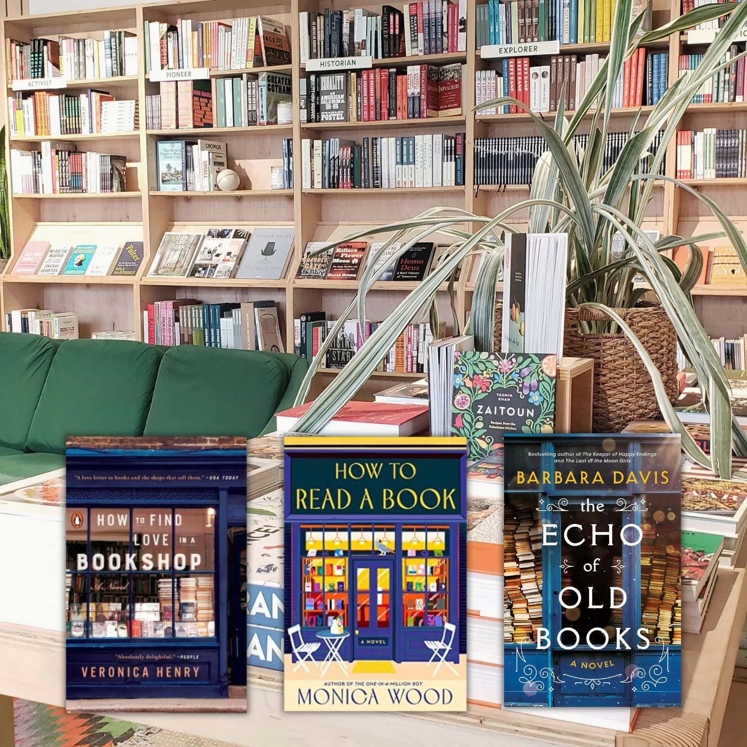 Bookstore shelves with 3 books about book covers